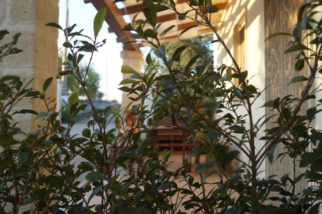 阿尔贝罗贝洛卡萨德尔诺诺旅馆住宿加早餐旅馆 客房 照片