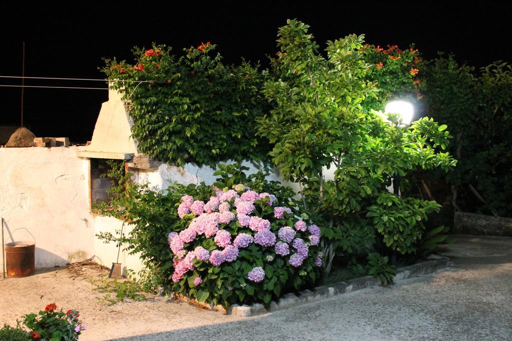 阿尔贝罗贝洛卡萨德尔诺诺旅馆住宿加早餐旅馆 外观 照片